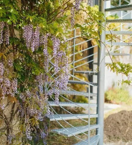 Clos Du Bois Saint-martin Сasa de vacaciones *